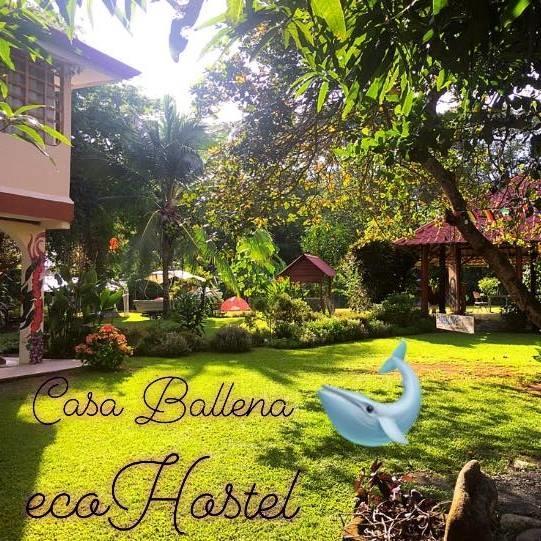 Casa Ballena Eco Hostel Uvita Exterior foto